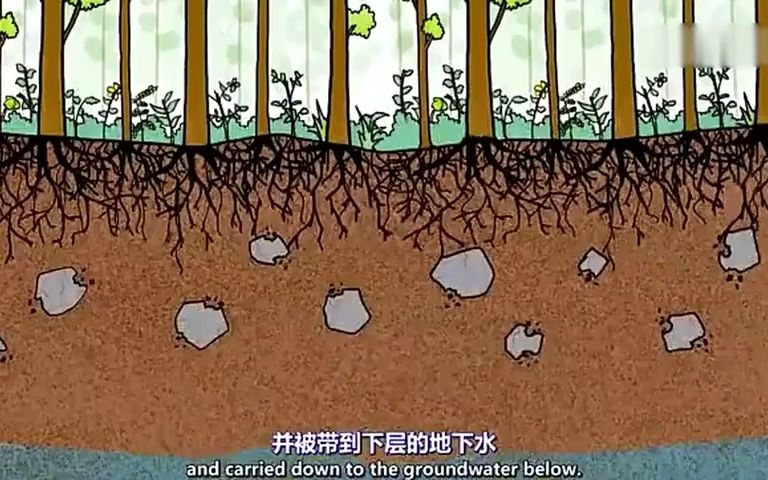 【地理微课】什么是土壤盐碱化哔哩哔哩bilibili