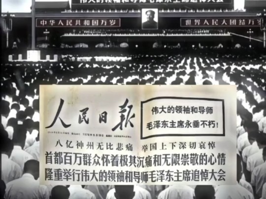 “1976”哔哩哔哩bilibili