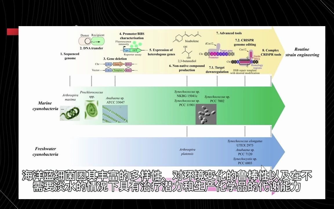 每日一合成生物学进展 2022.10.13 海洋蓝细菌合成生物学研究进展与挑战.哔哩哔哩bilibili