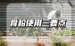 Download Video: 骨粉究竟怎么用不出错？记住这三点！