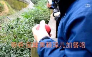 Télécharger la video: 爷爷亮金嗓子呼宝妹加餐…暖心安慰哭闹小孩熊猫来了…