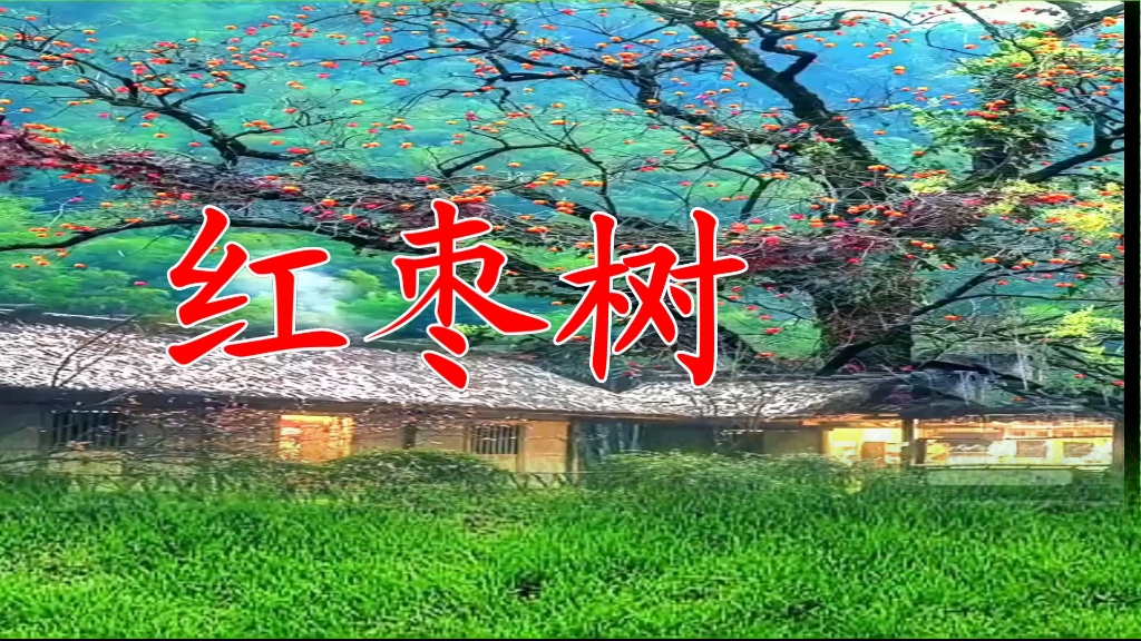 [图]外景《红枣树》编舞：小莹