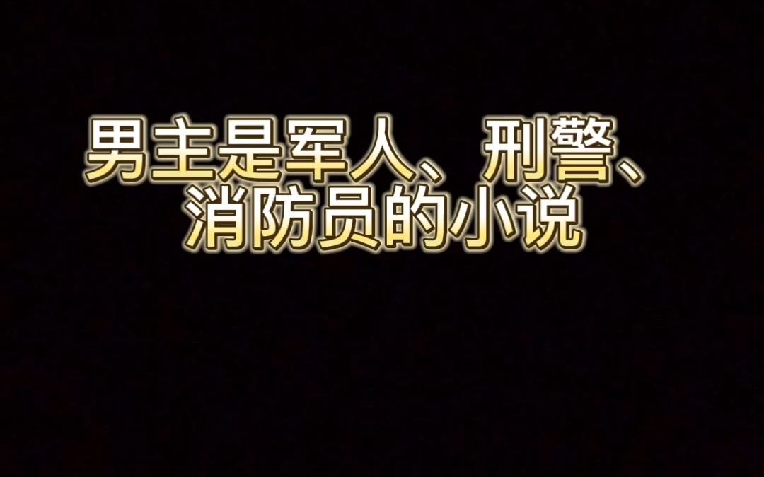 男主是军人、刑警、消防员的小说哔哩哔哩bilibili