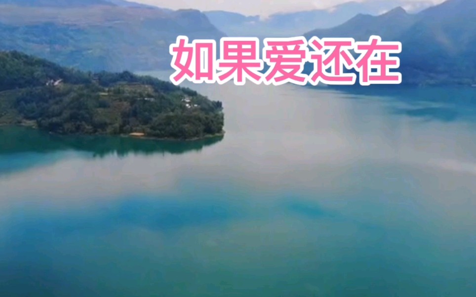 歌曲《如果爱还在》如果爱请深爱,如果不爱就放手,把握现在才是最好的