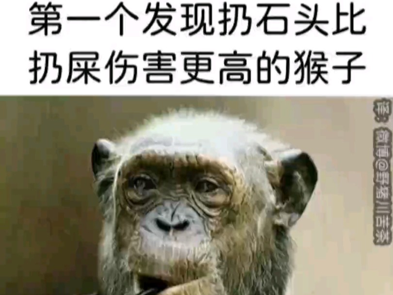 我:在全班面前做简报.我的血液:嘿嘿……哔哩哔哩bilibili