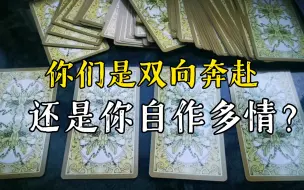 Download Video: 【陶大宝】你们是双向奔赴还是你自作多情？