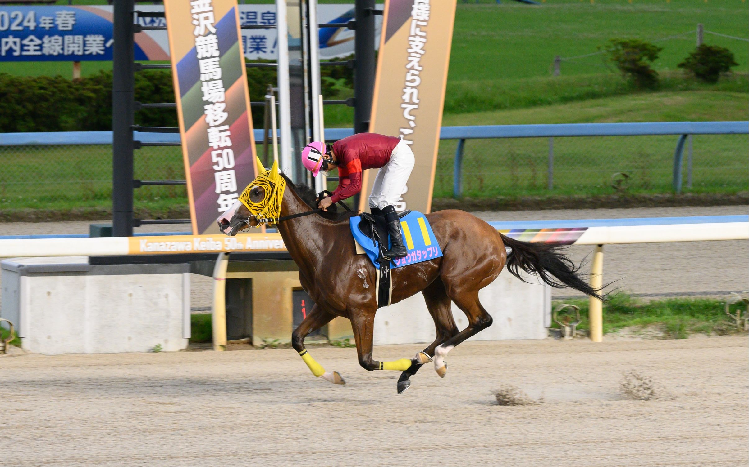 7.9【金沢競馬】第10回加贺友禅赏(重賞)【ショウガタップリ】