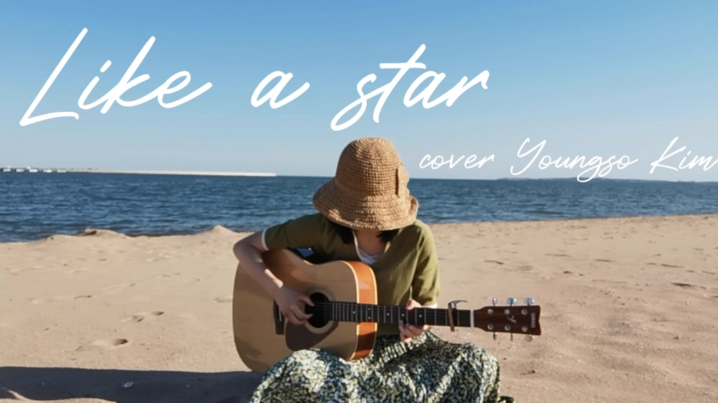 like a star/金永所/指弹翻弹(夏日海边回忆版)