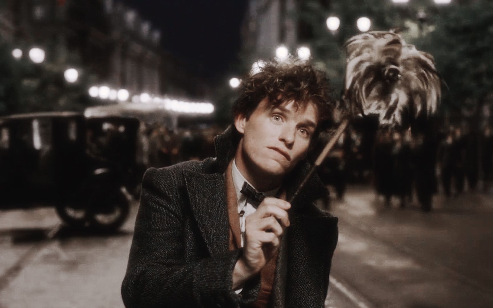 纽特的神奇动物