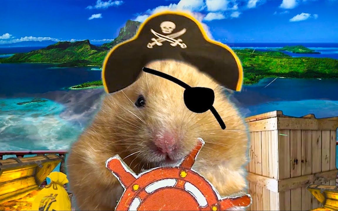 91仓鼠逃离海盗岛迷宫!91现实生活陷阱