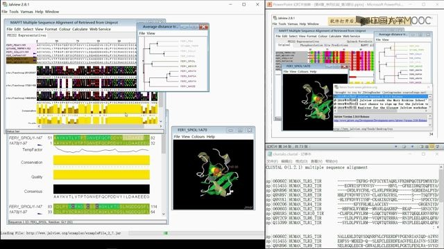 多序列比对的编辑1Jalview哔哩哔哩bilibili