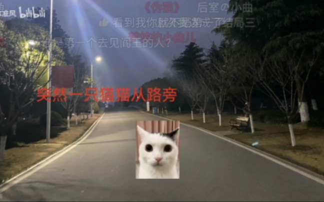 [图]猫猫惊魂，挑战通关五个结局