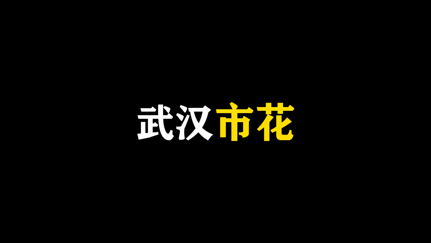 武汉的市花哔哩哔哩bilibili