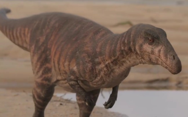 史前星球:诺弗勒恶龙.身长1.83米.