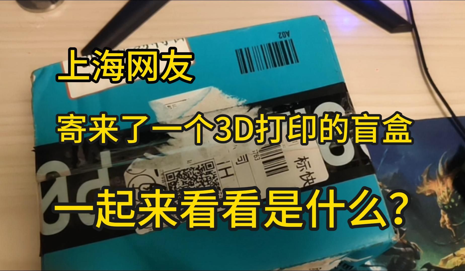 上海网友寄来了一个3D打印盲盒,一起来看看是什么哔哩哔哩bilibili