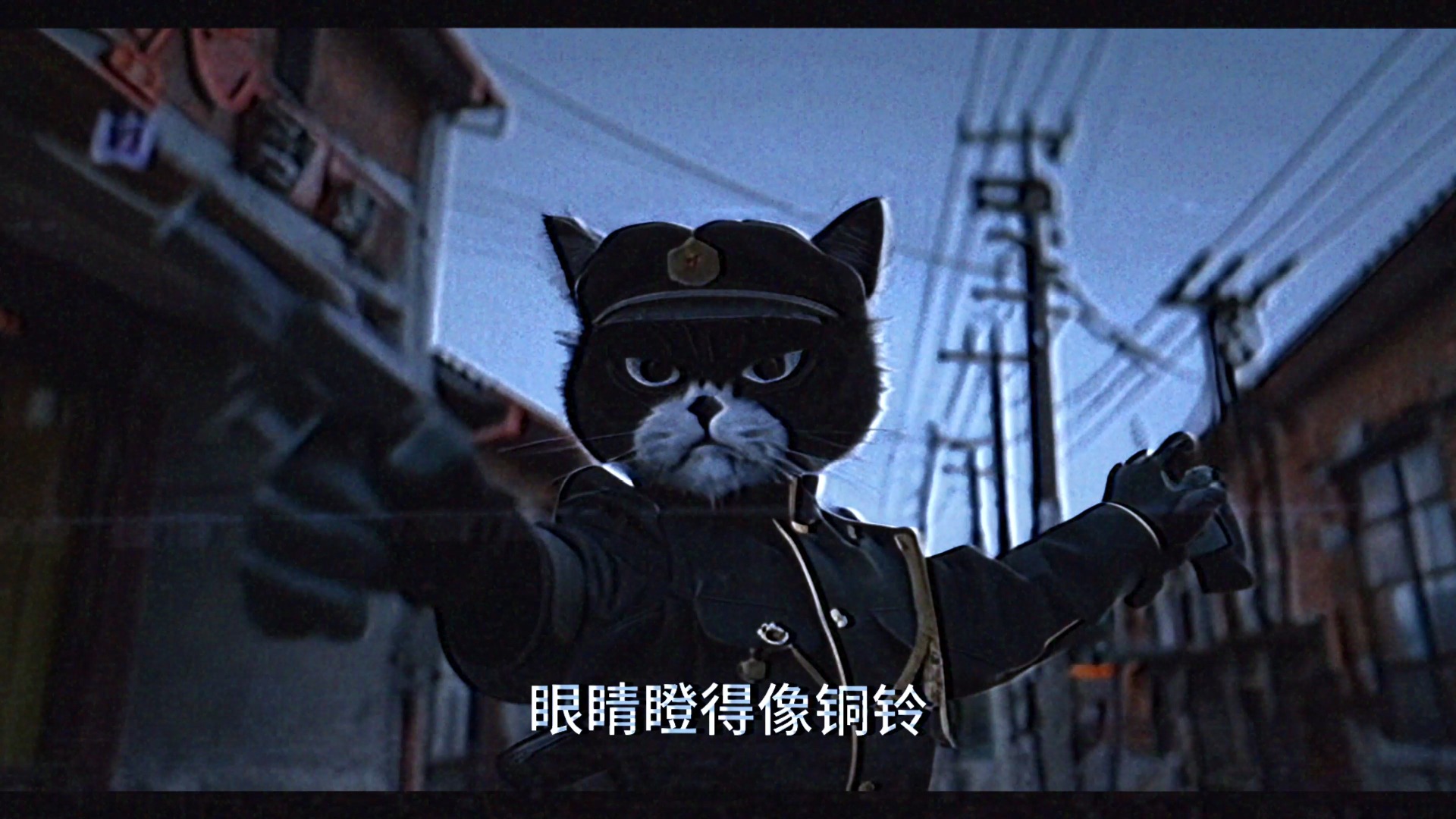 黑猫警长电视剧图片