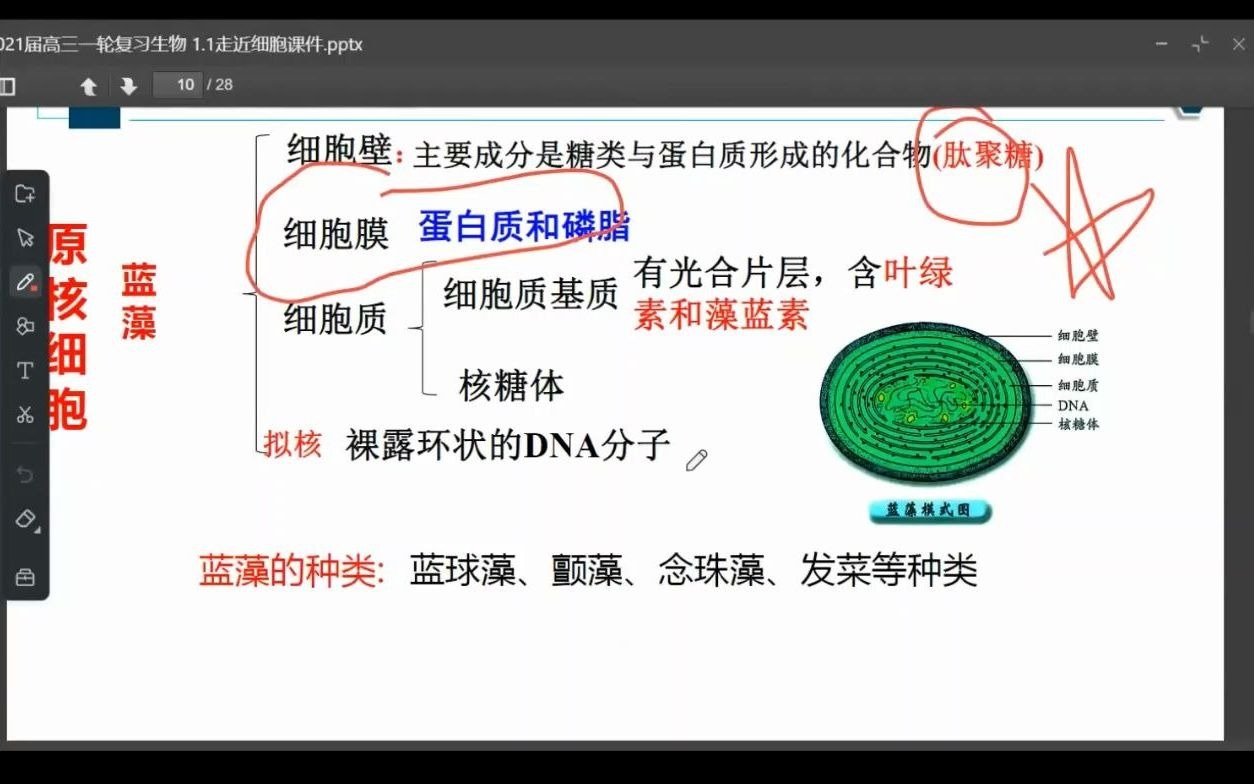 高中生物必修一考点一—常考原核生物精讲,适用2022高考与新高一哔哩哔哩bilibili