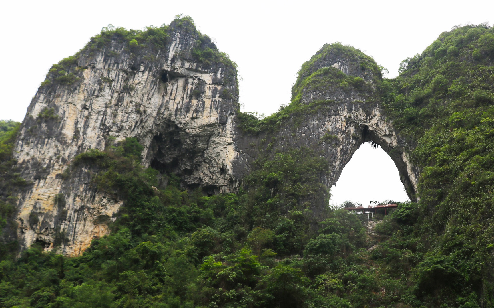 广西发现一座很奇特的山,正面看像是一只鸵鸟,当地人称驼峰山