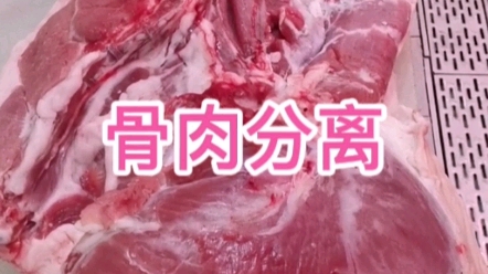 冷鲜肉和热鲜肉哪个好吃呢?哔哩哔哩bilibili