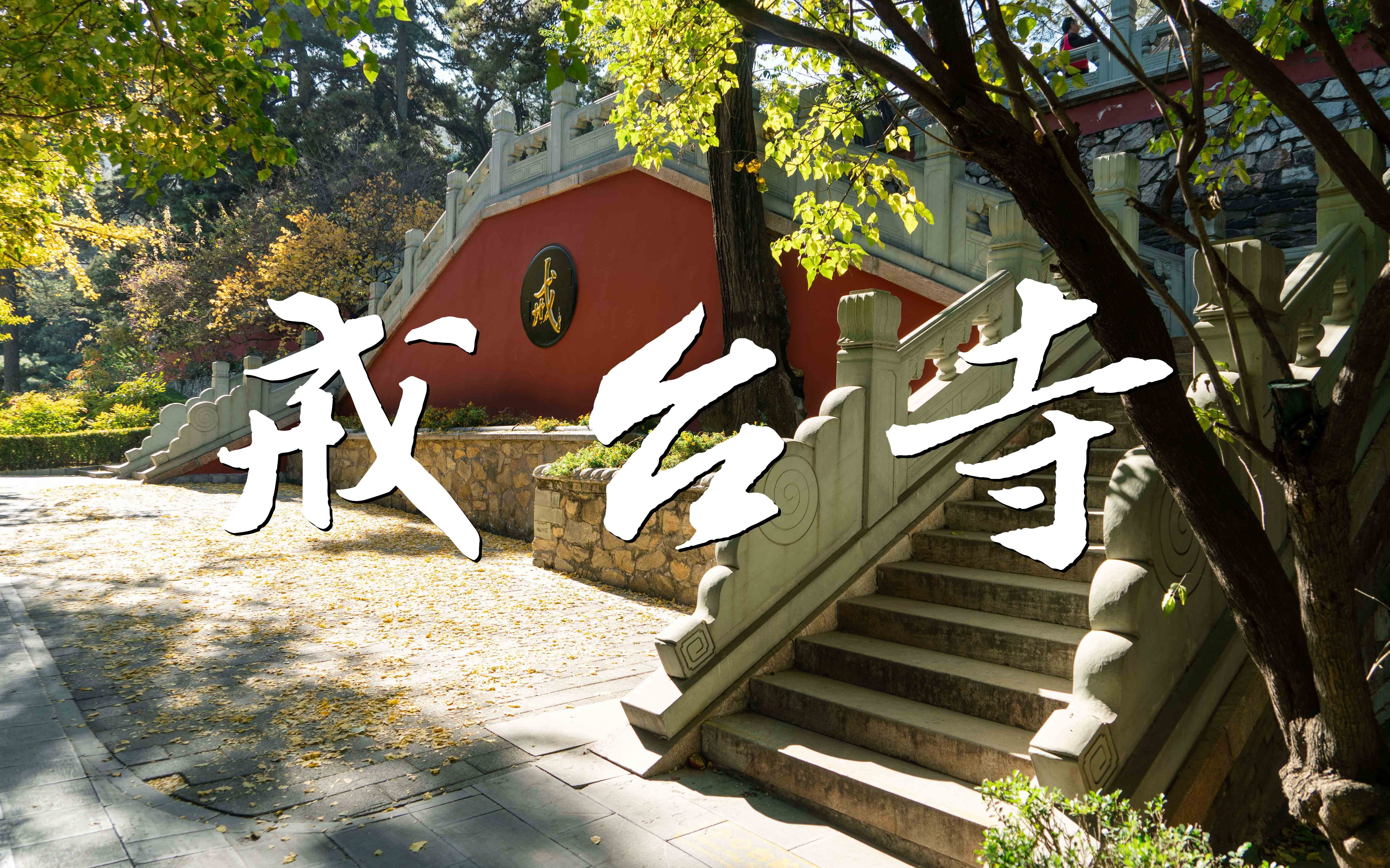 2022年11月访戒台寺纪录哔哩哔哩bilibili