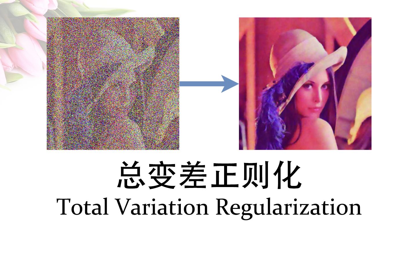 总变差正则化 | Total Variation Regularization哔哩哔哩bilibili