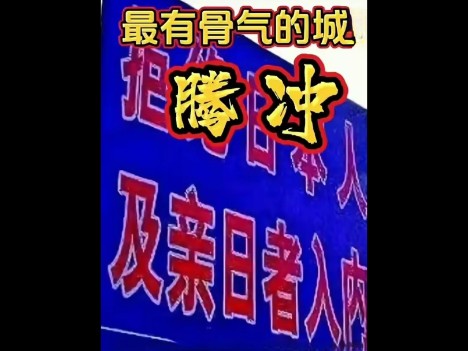 腾冲~有骨气的城市:不承认侵华历史的日本人及其亲日者拒绝入内哔哩哔哩bilibili