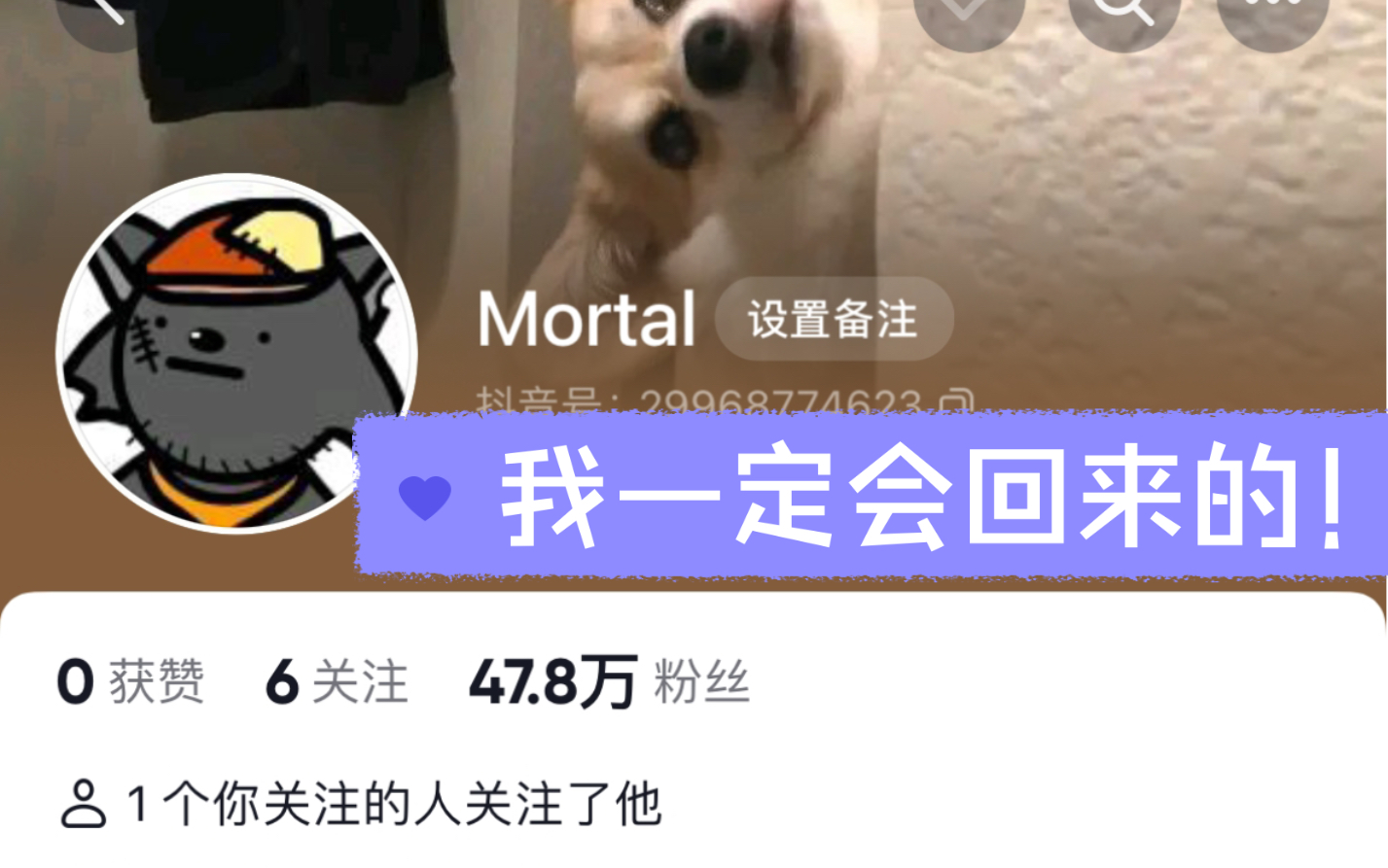 Mortal的第24万个粉丝,灰太狼头像:我一定会回来的!哔哩哔哩bilibili