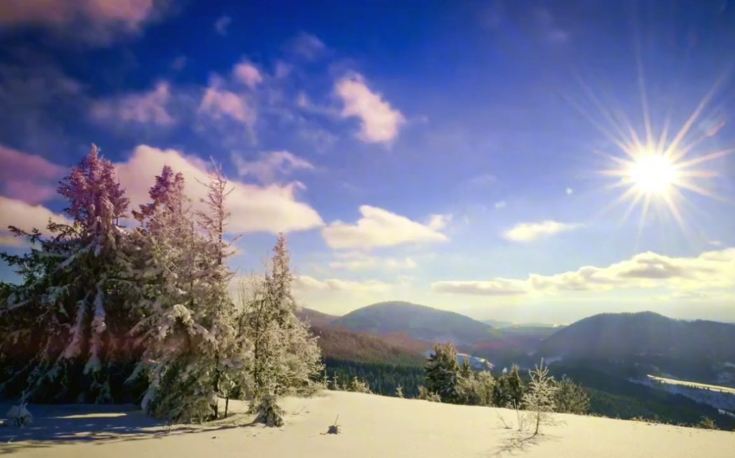 琵琶曲《阳春白雪》纯音乐,清新明快曲流畅,万物复苏沐春光哔哩哔哩bilibili