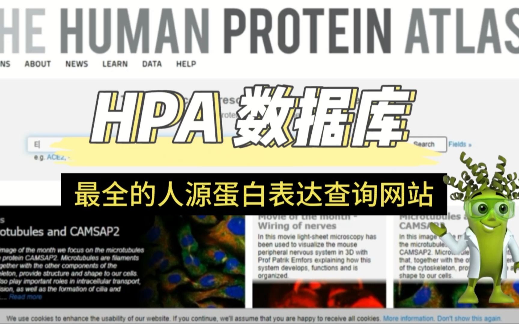 The Human Protein Atlas 使用指南哔哩哔哩bilibili