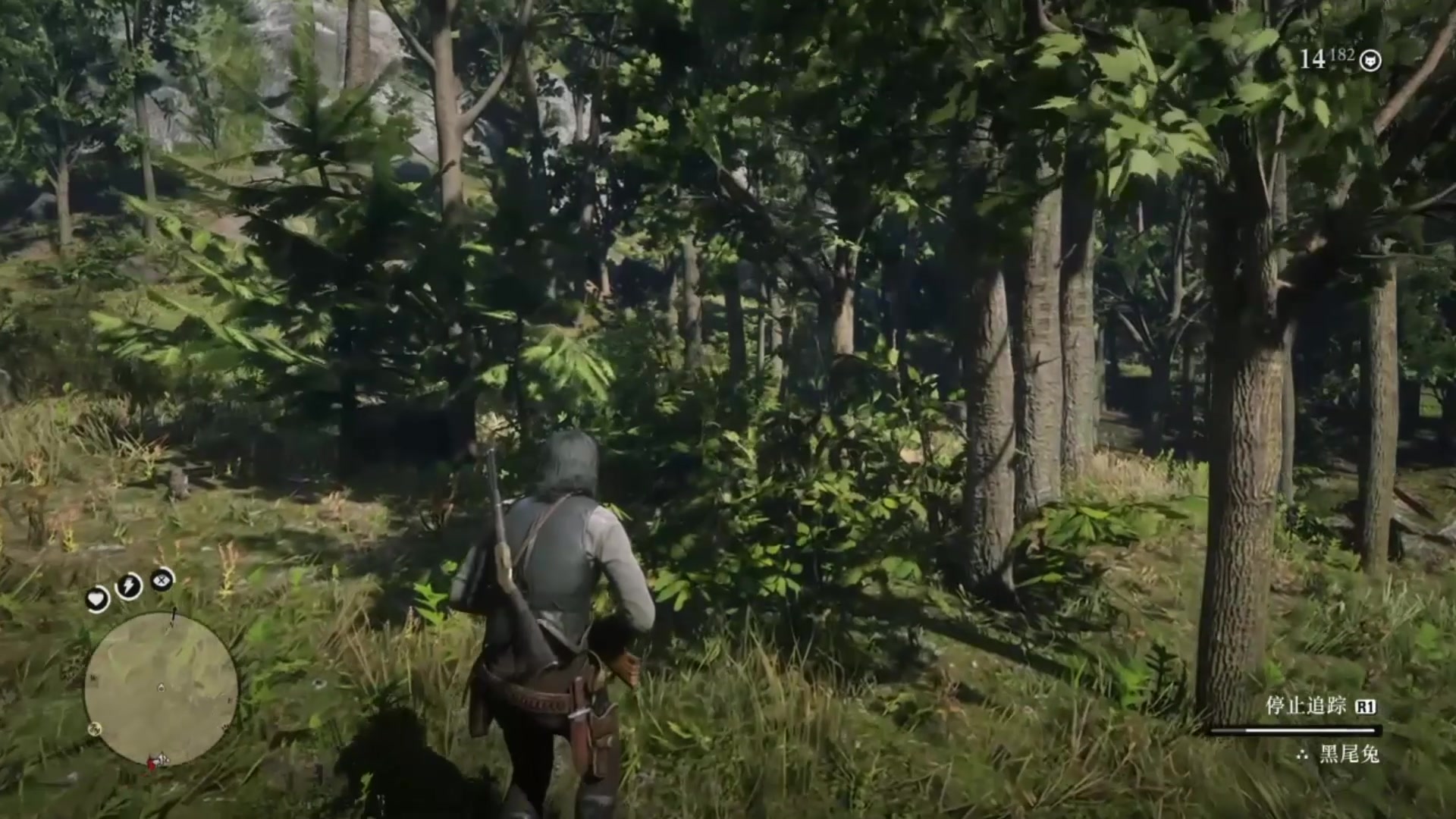 荒野大镖客-捕猎大事挑战2_三张完美兔子皮