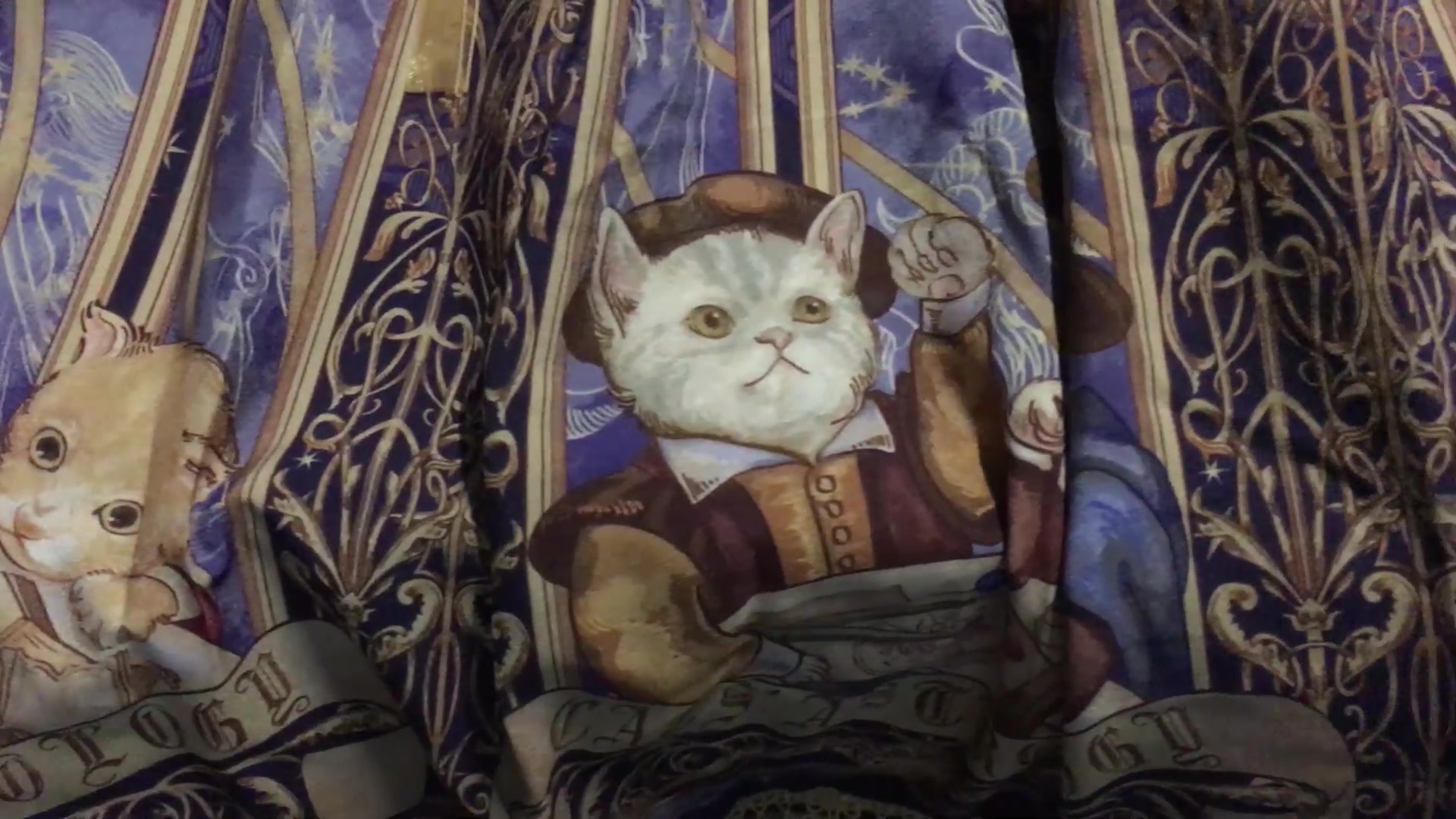 人手一件,lo娘必备——占星猫绀色正腰jsk开箱