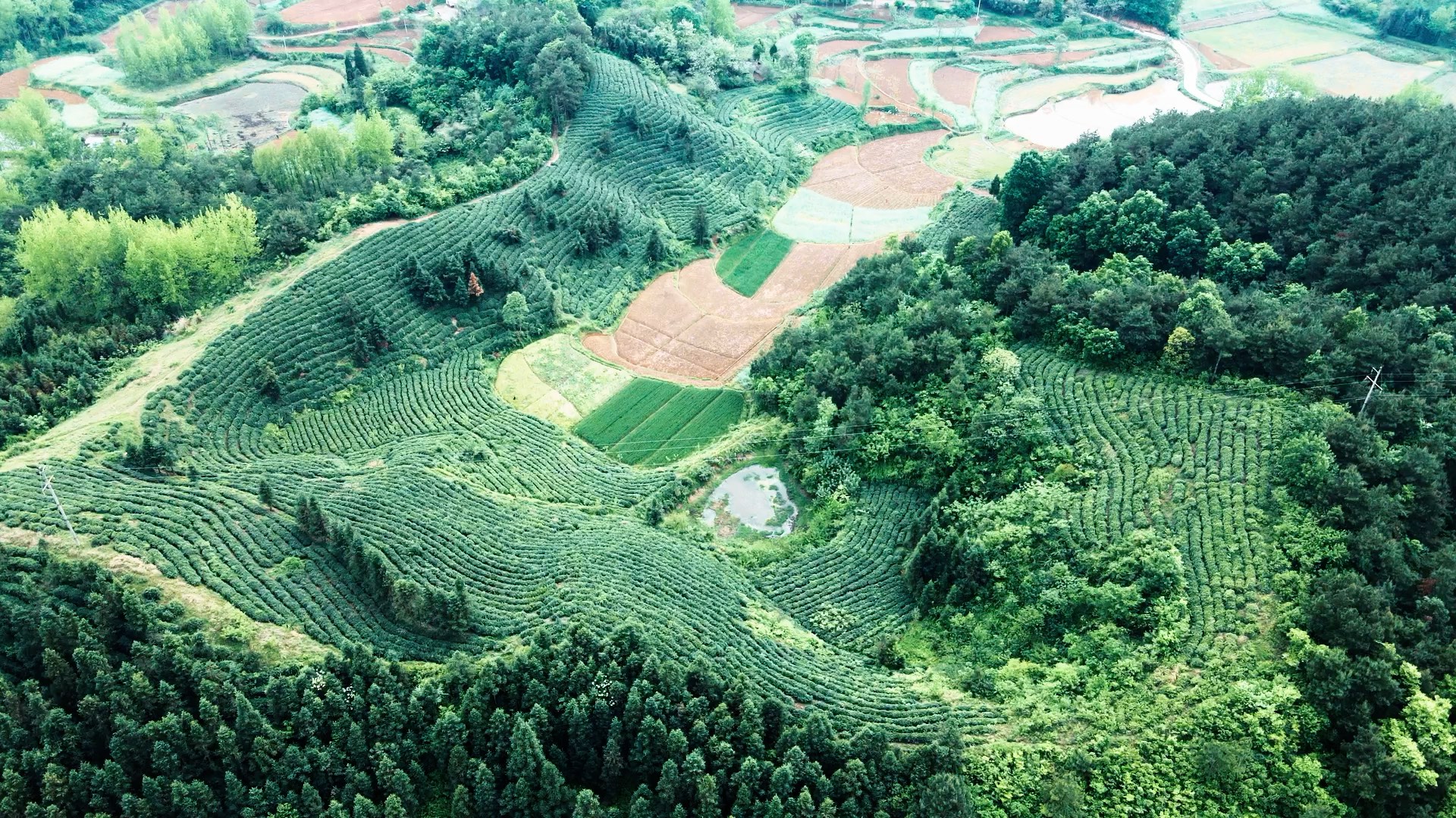 [图]航拍大山里的美丽乡村：当春季来临，大地就成了最美的画卷。