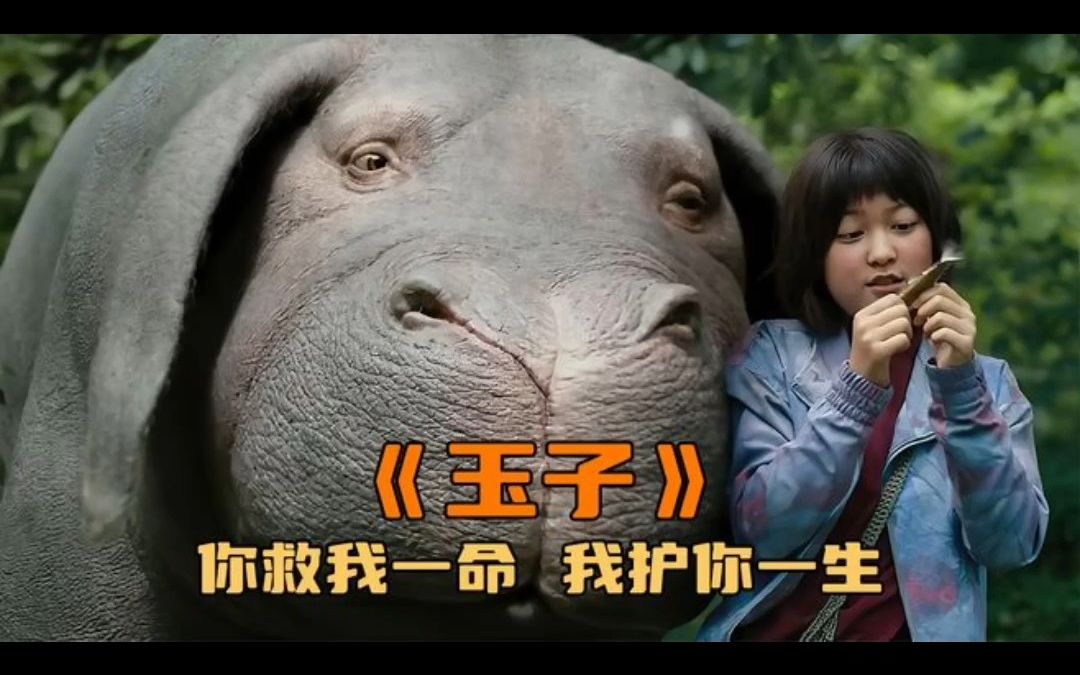 电影【玉子】:你救我一命,我护你一生