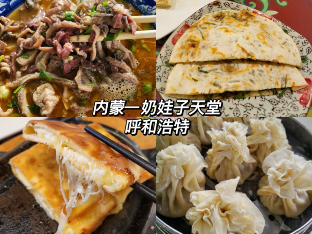 呼和浩特/奶娃子天堂/稍麦羊杂/沙葱驼肉馅饼/奶酪馅饼/糖麻叶/大召寺/大清真寺/宽巷子/塞上老街/可爱纪念品哔哩哔哩bilibili