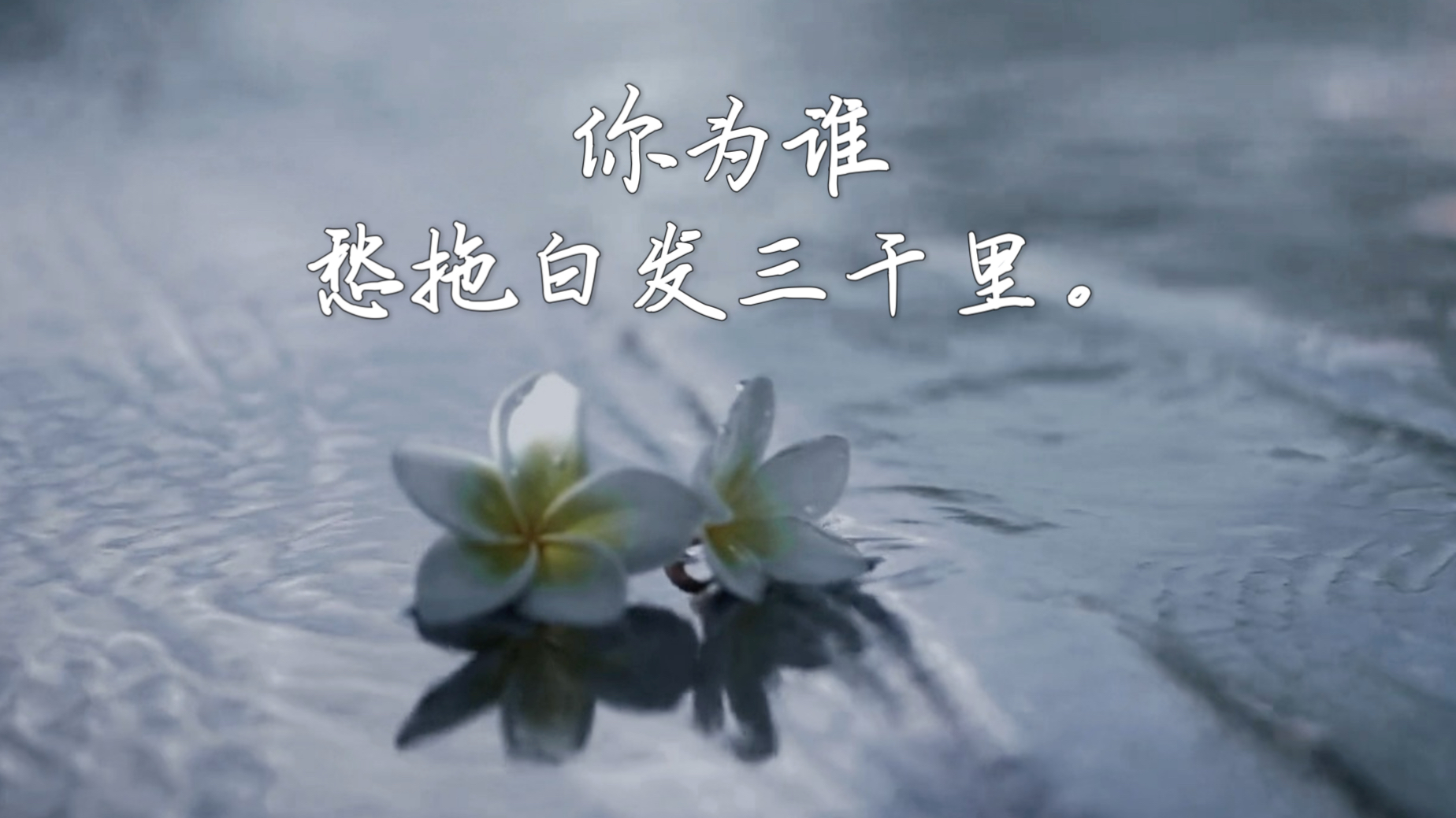 《古湘灵歌》：全篇得意。作为现代中学生托湘灵典故写给古人的歌行。