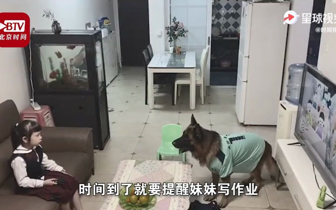 操碎了心!哔哩哔哩bilibili