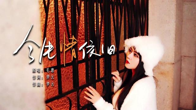 我忘不了你的笑容,也忘不了你的温柔……毛惠原唱歌曲《今生情依旧》