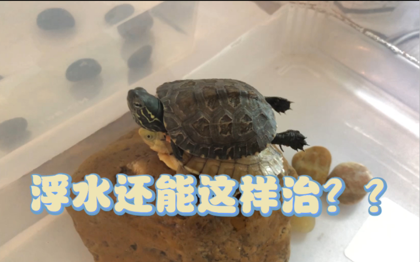 浮水还能这样治??哔哩哔哩bilibili