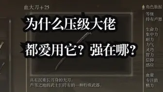 Descargar video: 压级武器新神，强度堪比白王剑——1级8周目无伤女武神