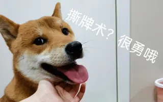 火焰祭坛 哔哩哔哩 Bilibili