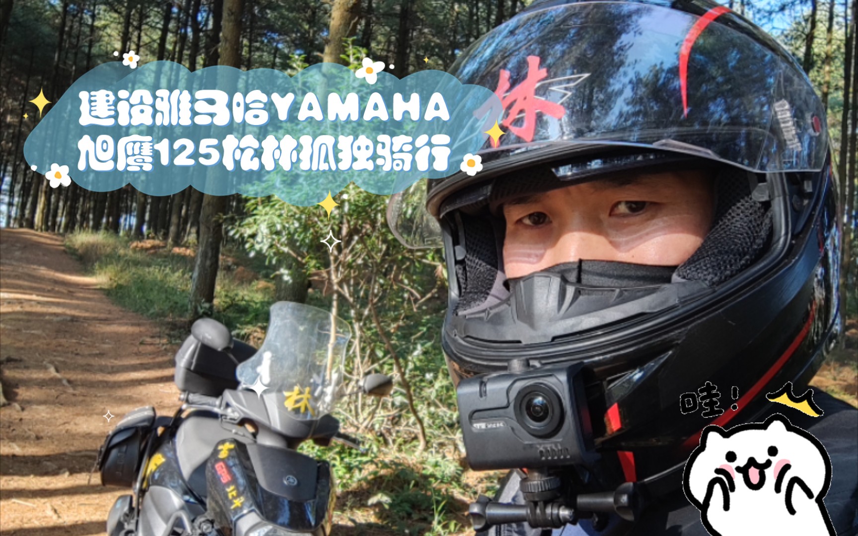 建设雅马哈YAMAHA旭鹰125松林孤独骑行,冬日暖阳里自由自在.为TRX4攀爬车踩点.哔哩哔哩bilibili