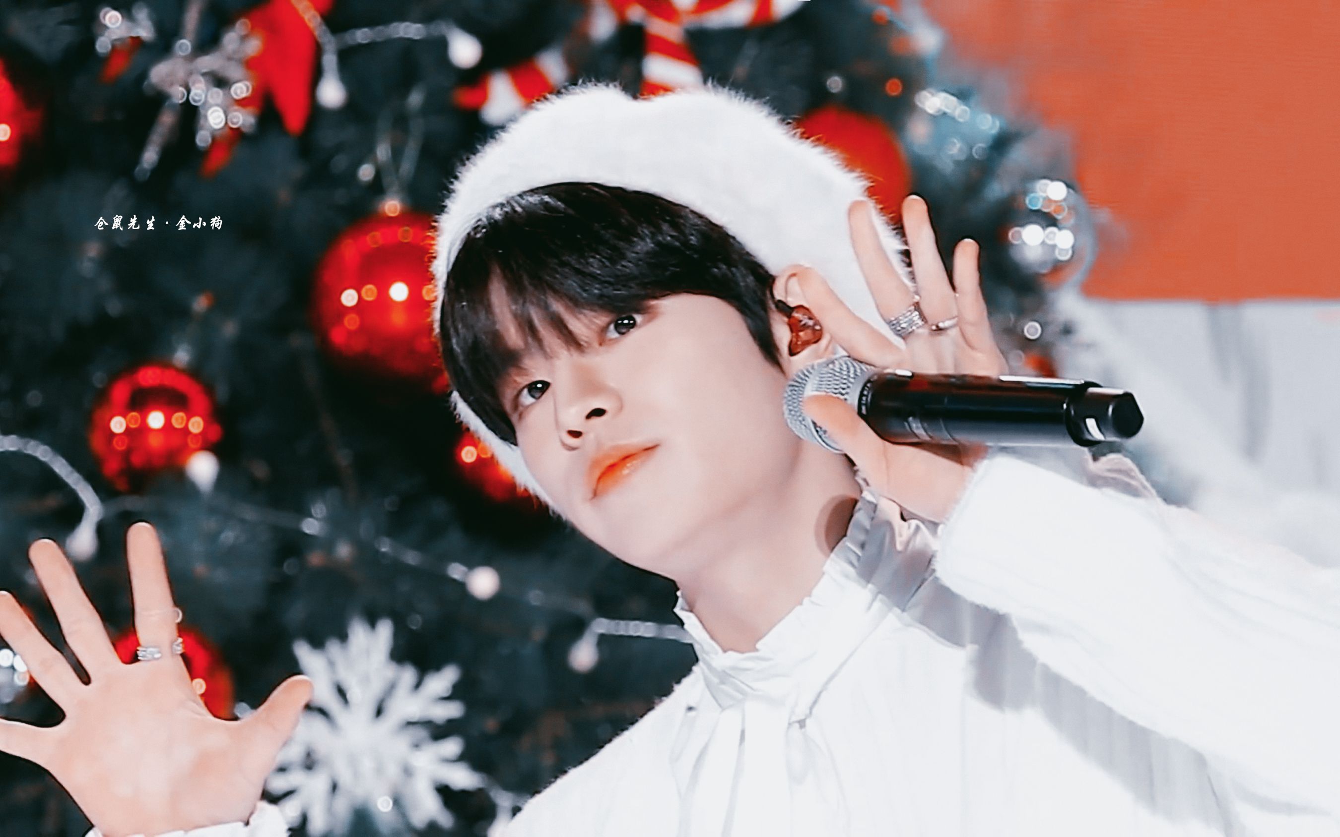 金升玟请善待这只可爱的小狗狗