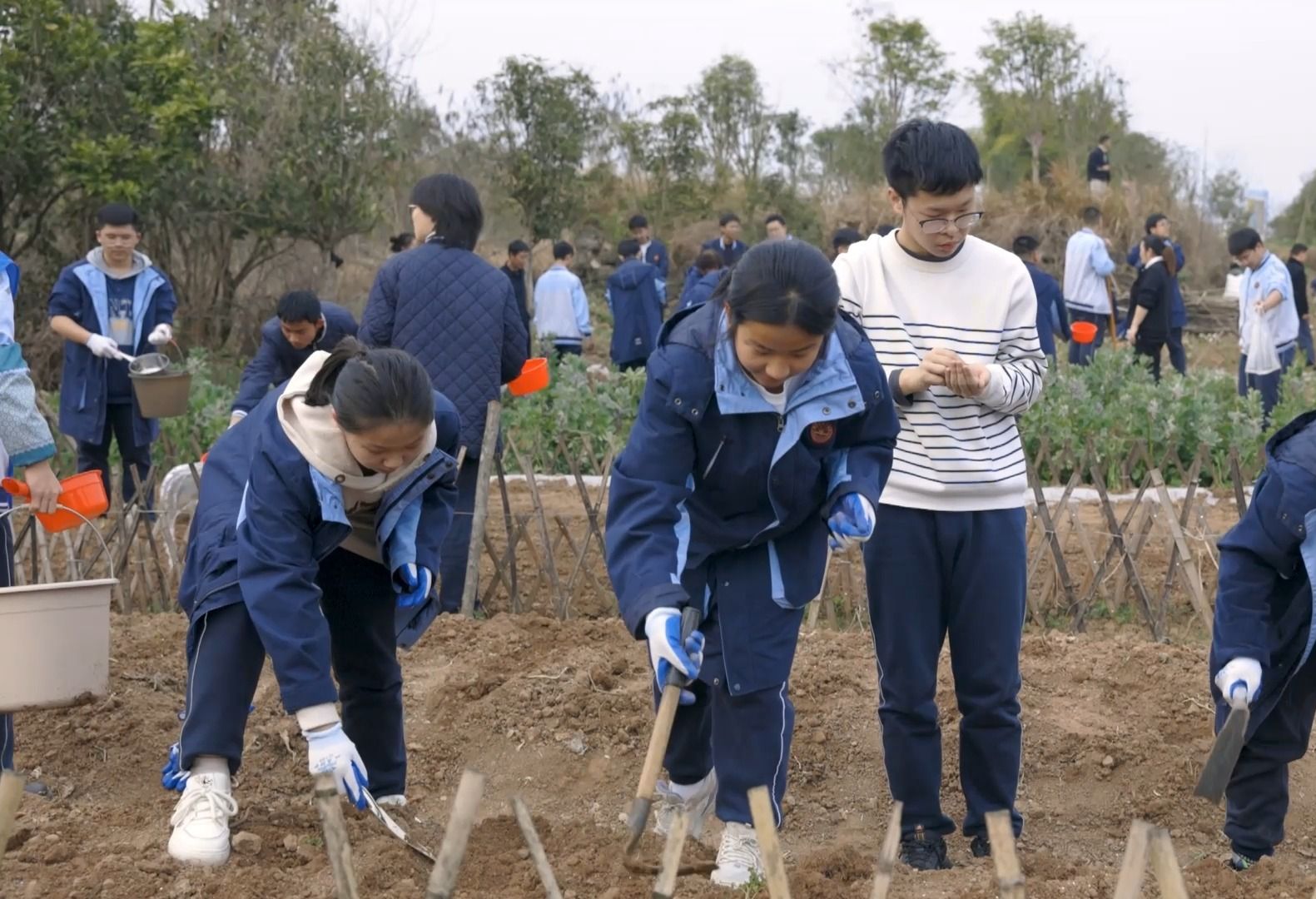 宜昌市一中版《上春山》哔哩哔哩bilibili