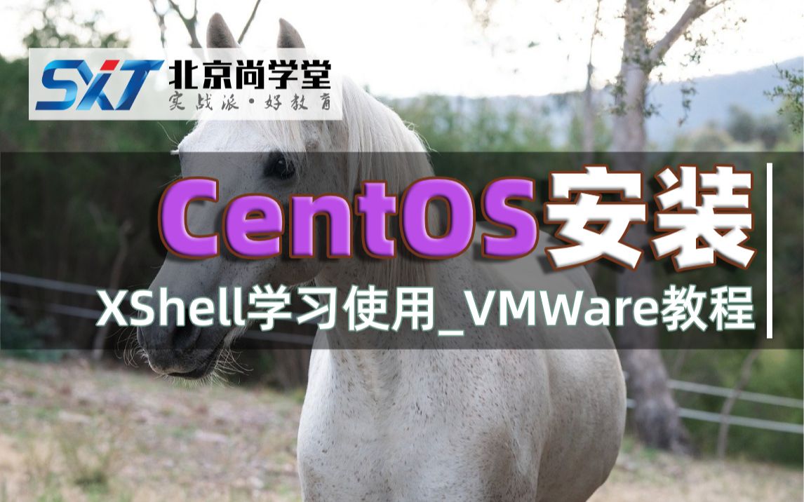 Linux系统之CentOS8从入门教程大数据学习之Linux+Shell基础学习教程Linux实战讲解之Xftp安装及使用掌握WAR包部署VMWare哔哩哔哩bilibili