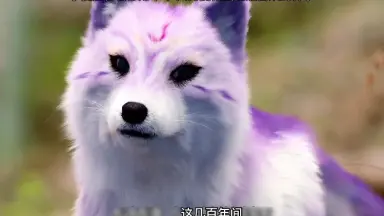 九尾狐/-哔哩哔哩_Bilibili