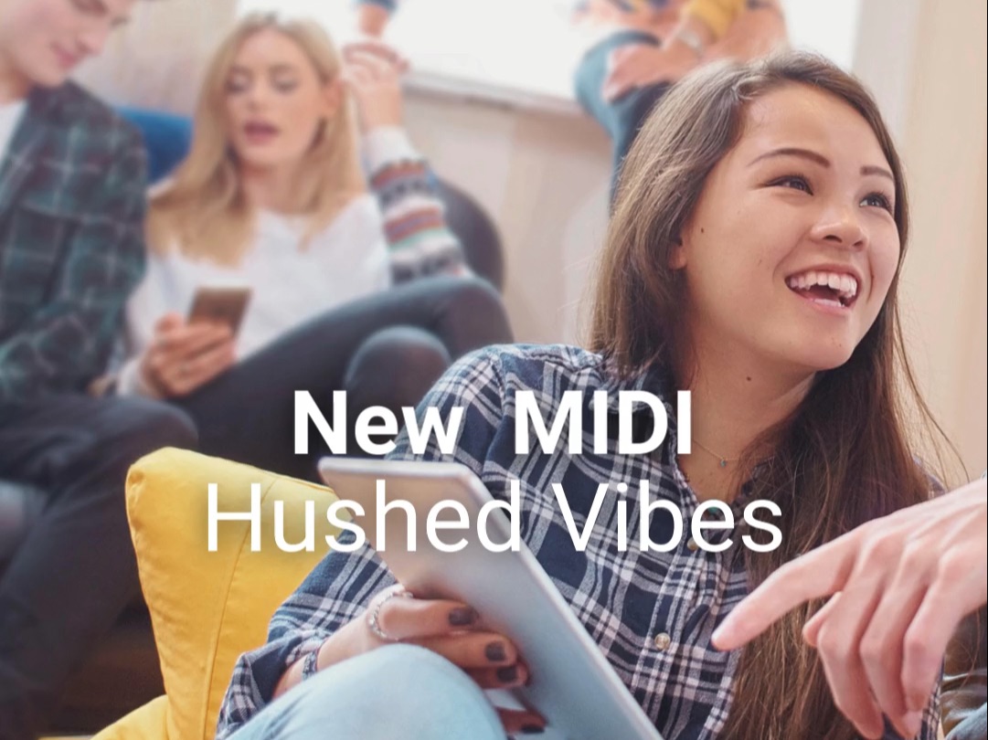 NEW SONG&MIDI 「Hushed Vibes」哔哩哔哩bilibili