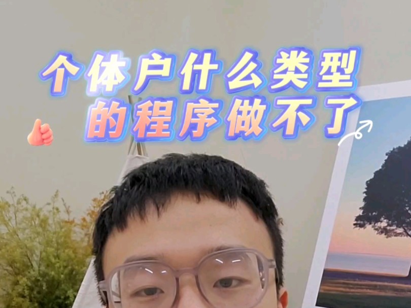 个体户什么类型的程序做不了?哔哩哔哩bilibili