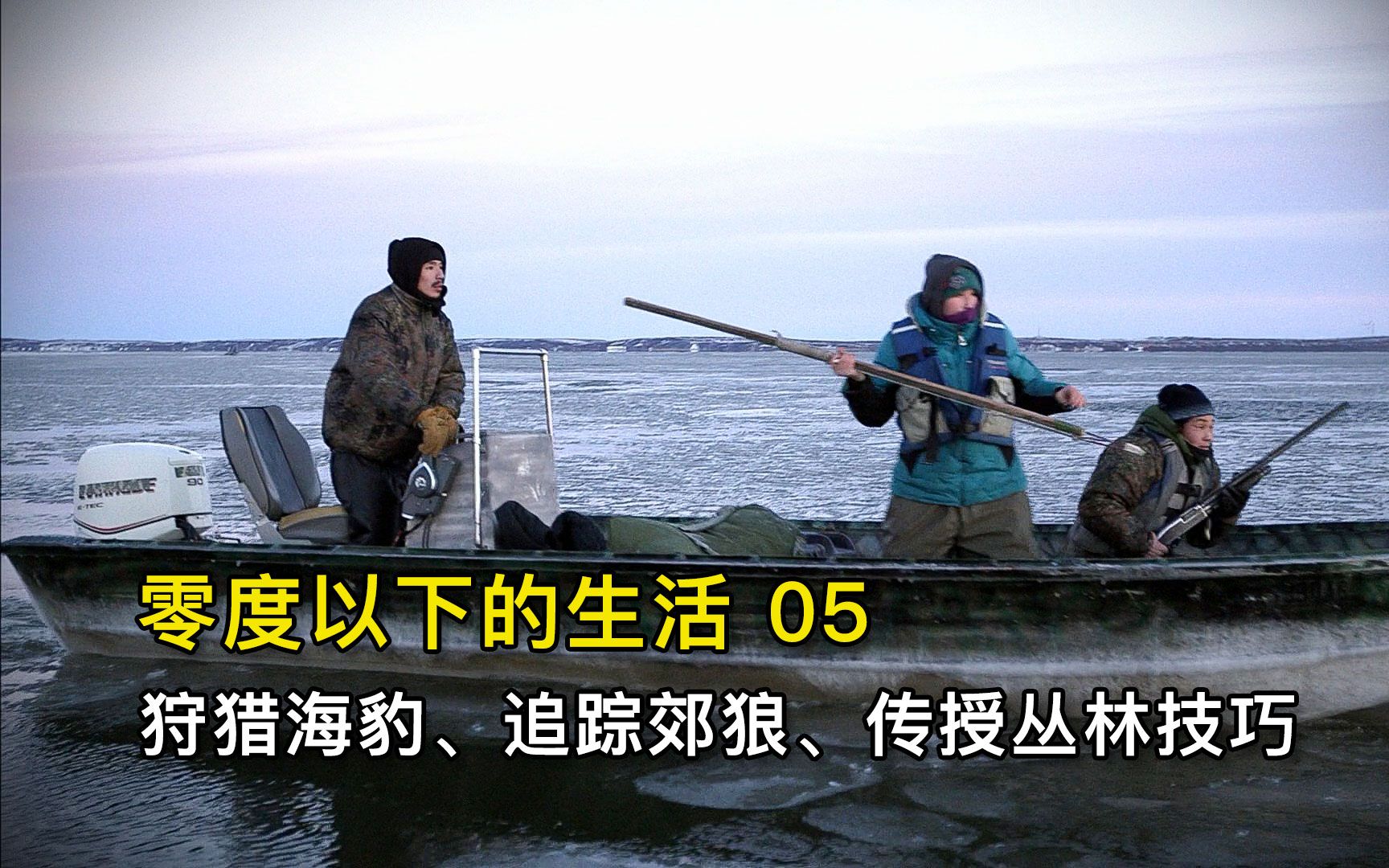 零度以下的生活05:捕捞百斤海豹、狩猎苔原狼、丛林生存技巧哔哩哔哩bilibili