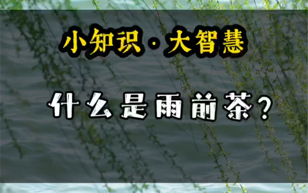 [图]【小知识🍃大智慧】什么是雨前茶？雨前茶是指雨水还是谷雨？雨前茶和明前茶有什么区别？#茶知识#茶文化