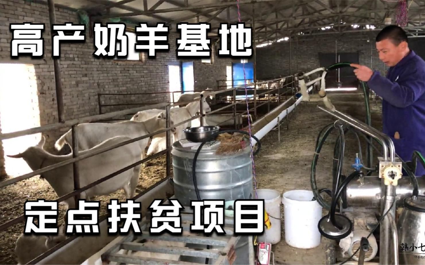 养殖场扶贫怎么写申请(养殖场扶贫怎么写申请报告)